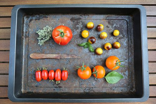 Vier verschillende tomatenvariëteiten