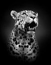 Jaguar von ilona van Bakkum Miniaturansicht