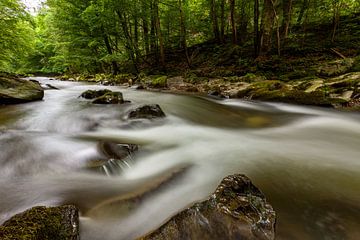 Het Schwarzatal in Thüringen van Roland Brack