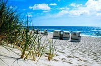 Behind the Dunes