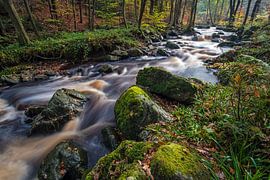 Vallee de la Hoëgne 8 by Martin de Bock