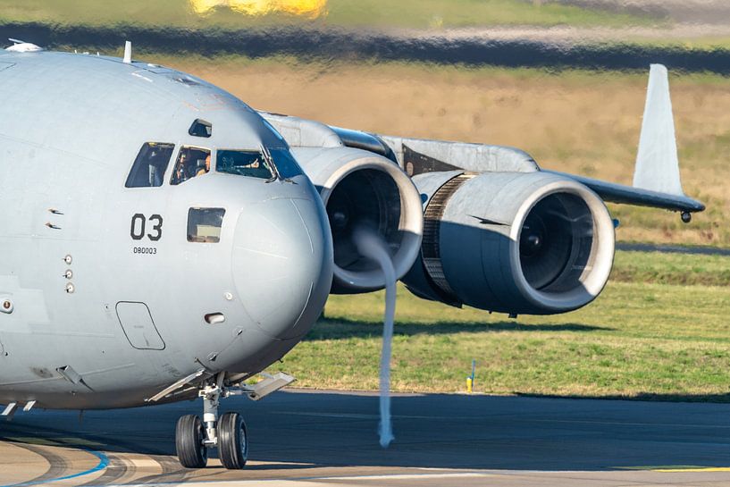 McDonnell Douglas/Boeing C-17 Globemaster III. von Jaap van den Berg