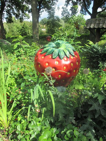 Thick strawberry by David Van der Cruyssen