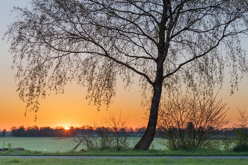 zonsopkomst van Karin Broekhuijsen