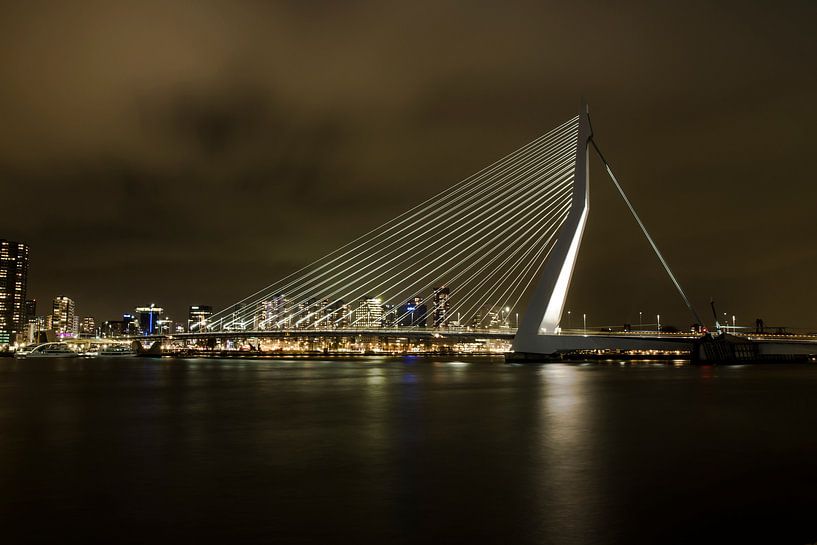 Erasmusbrug van Rob Altena