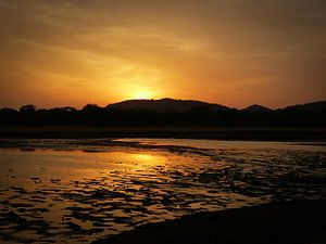 Sunset at Minneriya National Park Sri Lanka sur Inez Wijker