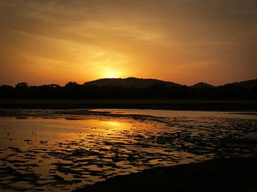 Sunset at Minneriya National Park Sri Lanka