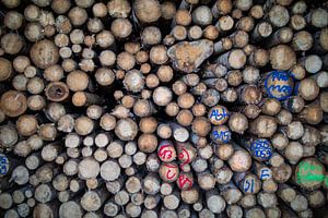 Holzpolter (Holzstapel)