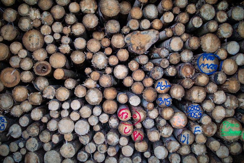 Holzpolter (Holzstapel) von t.ART