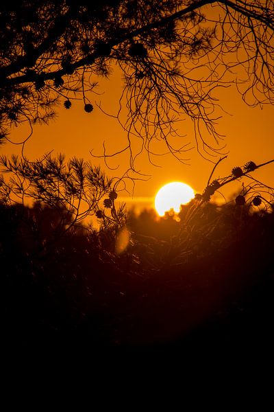 Sunset over La Joya by Alexander Wolff