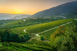 San Pietro di Barbozza en de Prosecco-wijngaarden bij zonsondergang, Italië van Stefano Orazzini