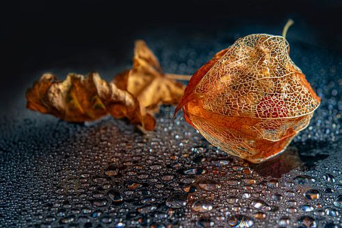 Chinese lantern among water drops