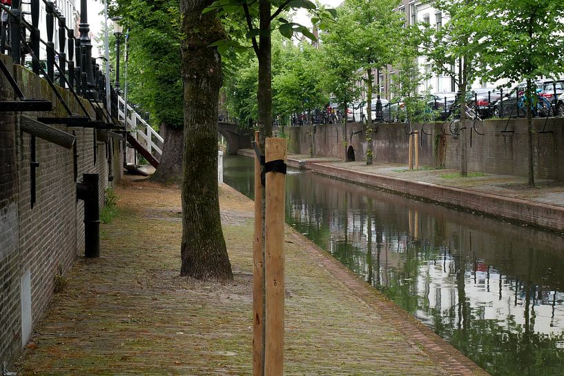 Utrecht - junge Plantage von Wout van den Berg