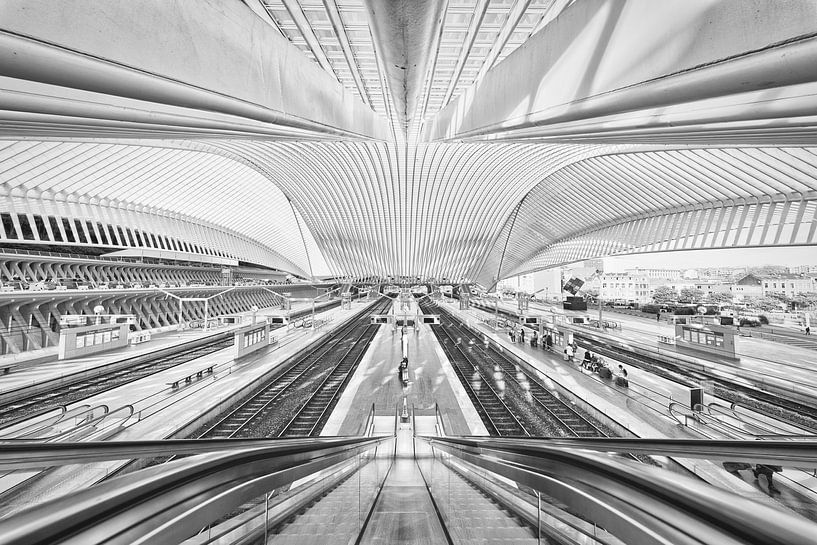 Liège Central par Dennis Evertse