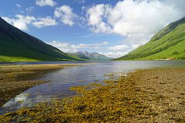 Farbenfrohes Glen Etive in Schottland.