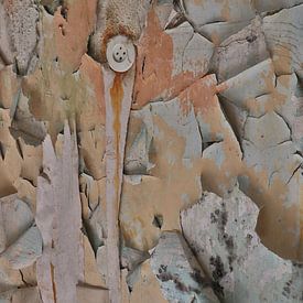 The beauty of decay van Esther De Schot
