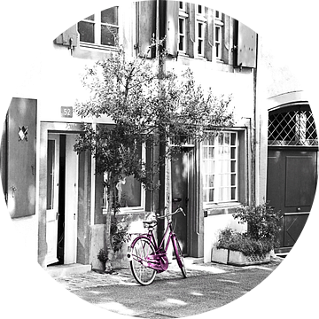 roze fiets van Claudia Moeckel