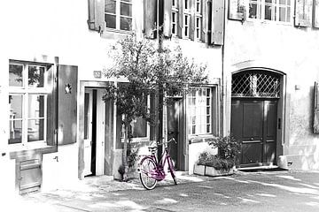roze fiets van Claudia Moeckel