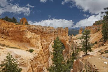 Bryce Canyon National Park, USA. Panorama foto van Gert Hilbink