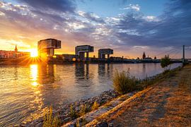 Cologne skyline at sunset by Frank Herrmann