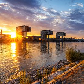 Köln Skyline im Sonnenuntergang von Frank Herrmann