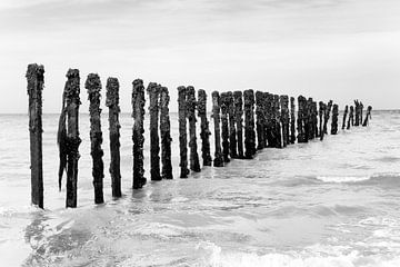 Brise-lames avec Cormorans près d'Omaha Beach (noir et blanc) sur Evert Jan Luchies