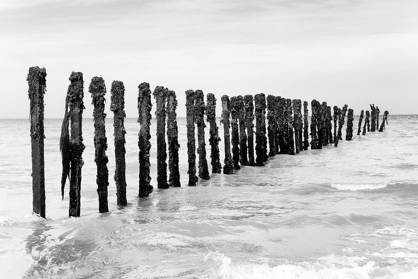 Wellenbrecher mit Kormoranen bei Omaha Beach (schwarz-weiß) von Evert Jan Luchies