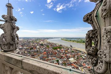 Uitzicht vanaf Kathedraal Antwerpen: Sint-Andries en de Schelde van Martijn Mur