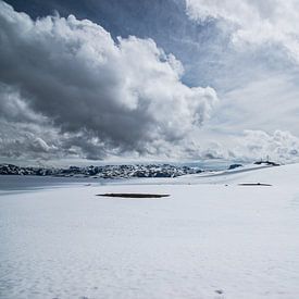 White Plains by Sander Strijdhorst