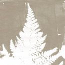 Varenblad in taupe en wit. Botanische illustratie in retrostijl van Dina Dankers thumbnail