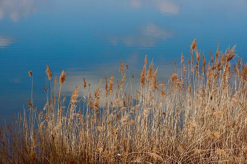 Evening at the lake