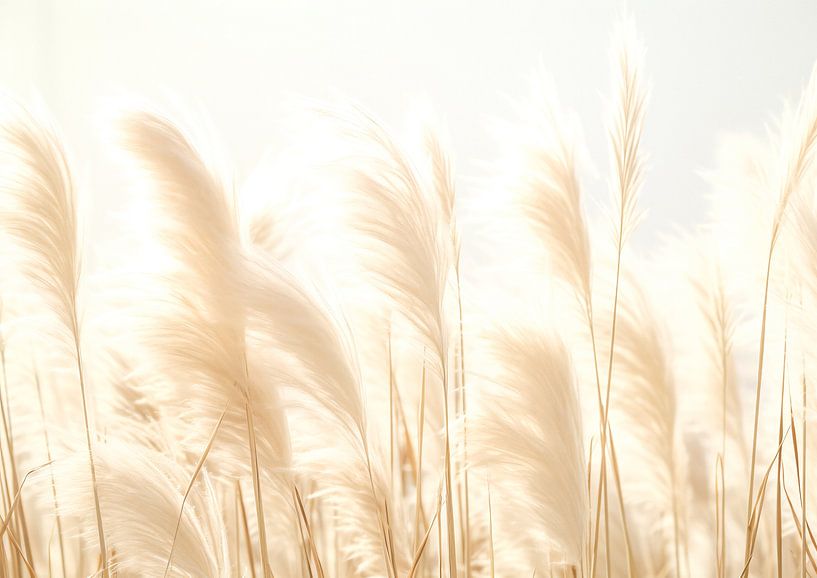 Whispering Plume by Steffen Gierok