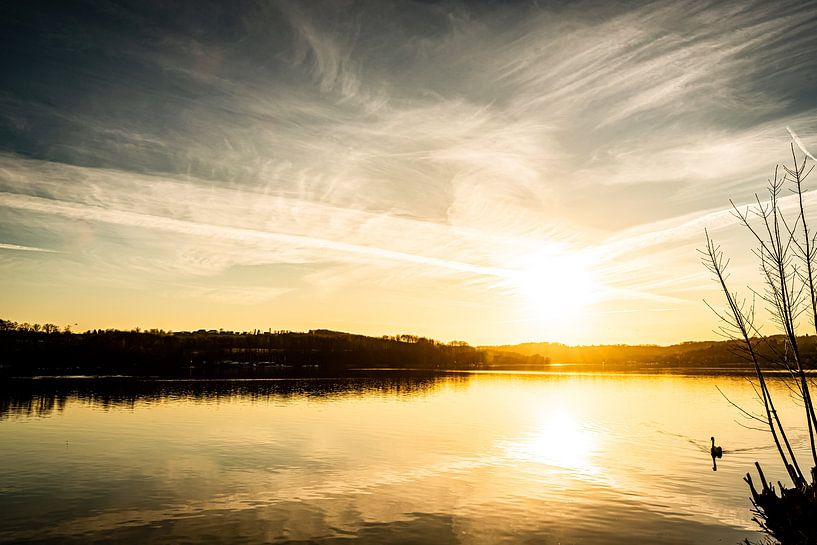 Baldeneysee in Essen mit Schwan im Winter im Gegenlicht bei Sonnenuntergang von Dieter Walther