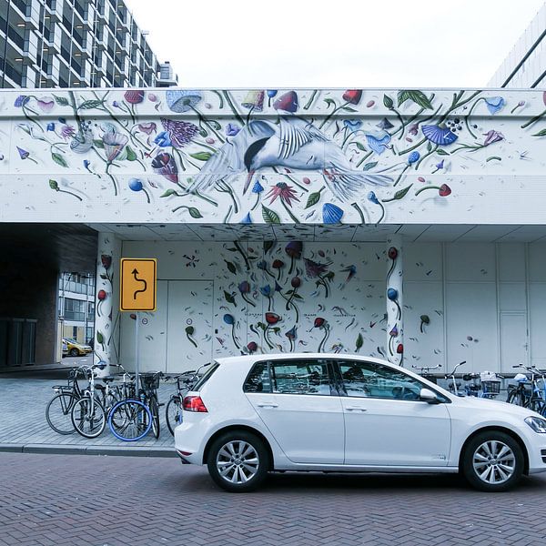 Rotterdam - Muurschildering ontspringt uit auto van Wout van den Berg