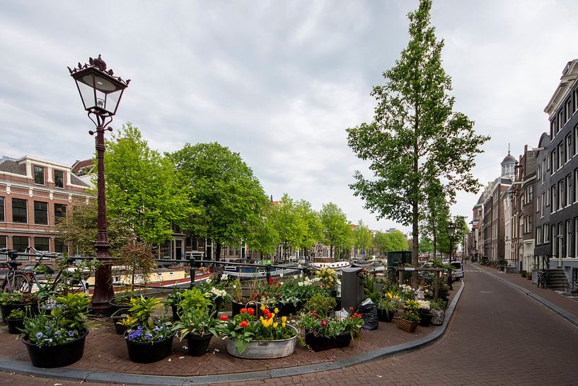 Flower power by Peter Bartelings