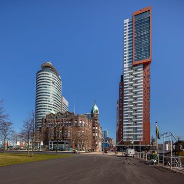 Holland Amerika lijk op kop van zuid in Rotterdam