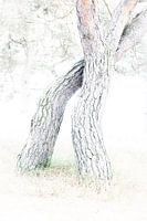 Intertwined