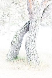 Verflochtene von Cor Bak