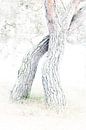 Intertwined by Cor Bak thumbnail