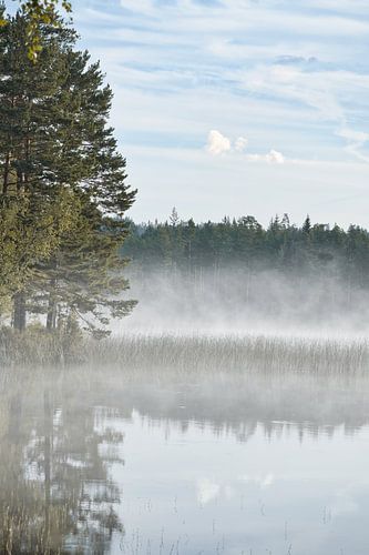 Fog rising into the water at dawn on a Swedish lake