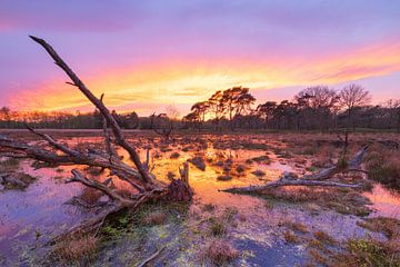 Zonsondergang Schipborg - Drenthe (Nederland) van Marcel Kerdijk