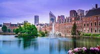 Den Haag - Hofvijver in de lente van Ricardo Bouman thumbnail
