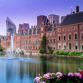 Den Haag - Hofvijver in de lente van Ricardo Bouman