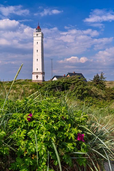 Lighthouse Blåvandshuk Fyr Denmark by Achim Thomae Photography