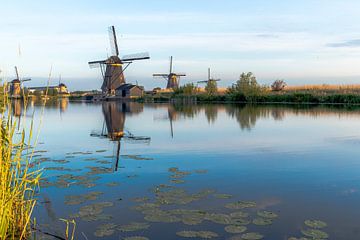 The windmills in Kinderdijk