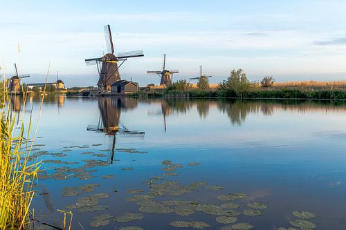 De windmolens in Kinderdijk