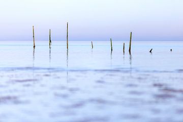 Pièges à anguille en mer du Nord sur Miranda van Hulst