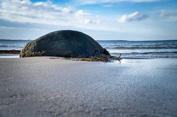 Stenen strand in Denemarken aan zee van Martin Köbsch