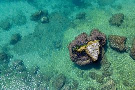 Glittering sun on the sea near Syracuse, Sicily by Marianne Eggink - Photography and digital art