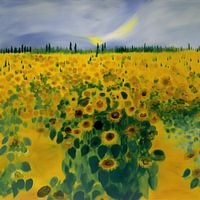 Feld mit Sonnenblumen